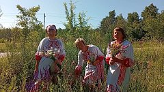Акция " Зелёная аптека "