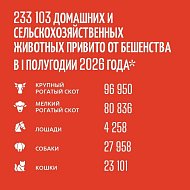 Осторожно: бешенство!