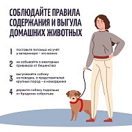 Осторожно: бешенство!