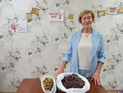 Акция " Зелёная аптека "