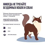 Осторожно: бешенство!