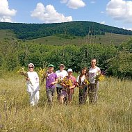  "Зелёная аптека" на лесной поляне