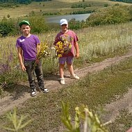 "Зелёная аптека" на лесной поляне