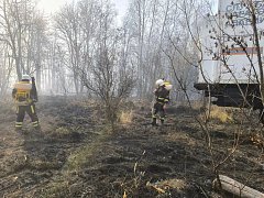 Лесопожарная обстановка у села Лох стабилизирована   