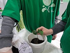 Лимонное дерево — символ новых горизонтов: школьники отметили 65-летие первого полёта в космос