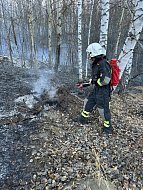 Лесопожарная обстановка у села Лох стабилизирована   