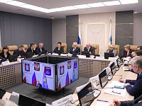 В Саратовской областной Думе предостерегли от непринятия мер по контролю за очисткой кровель от снега и наледи